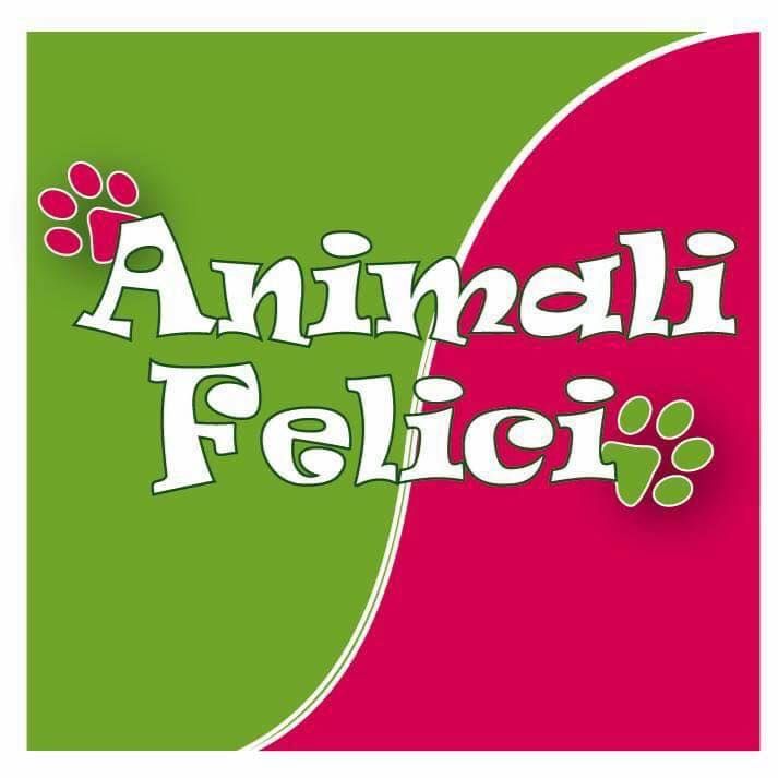 logo 298683583-454624856673570-6288573147531642566-n-2.jpg