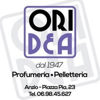 logo 309510166-602900914968390-199963808931323021-n.jpg
